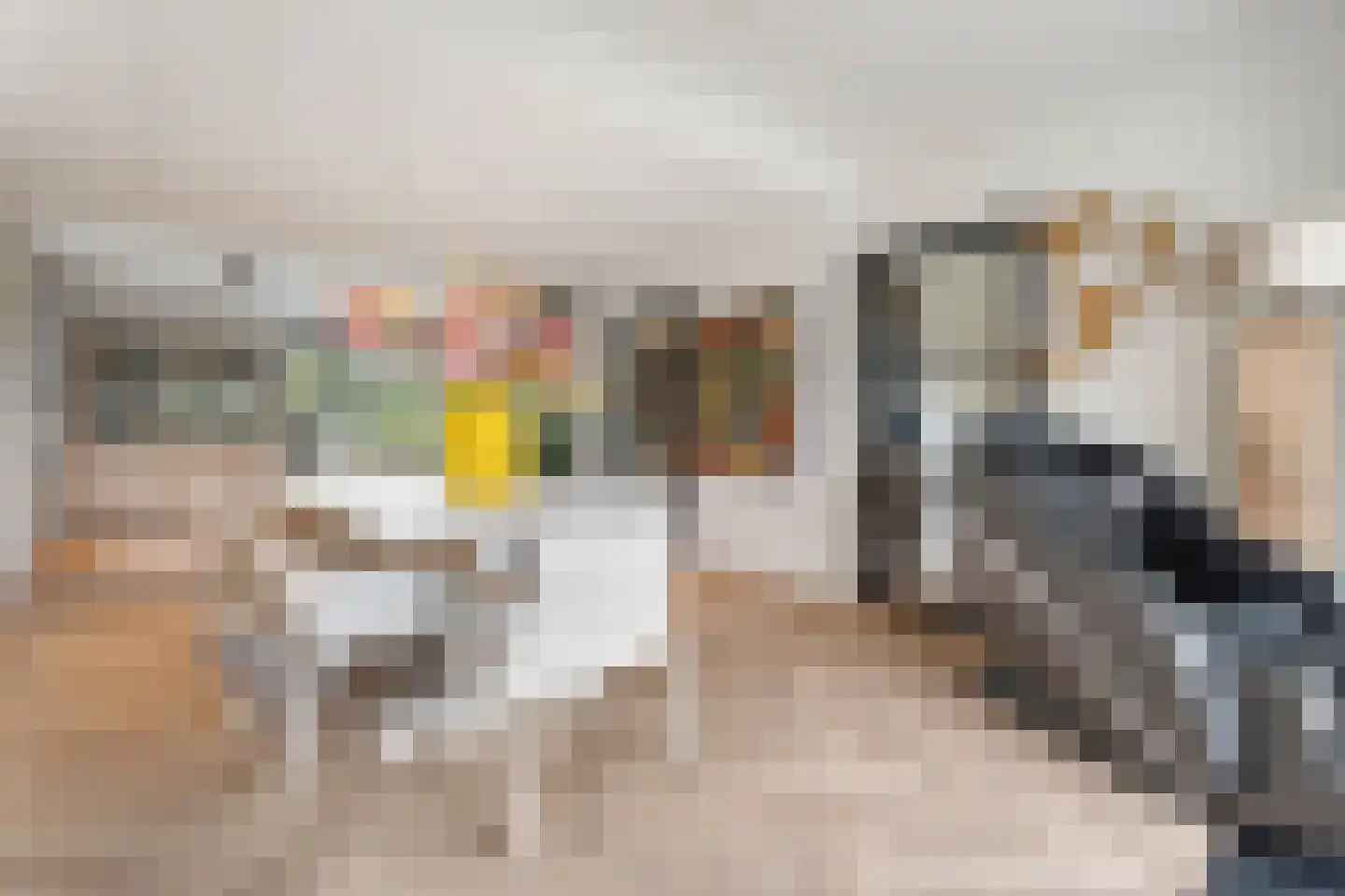 Hattemplein 6 Tilburg thumbnail 7