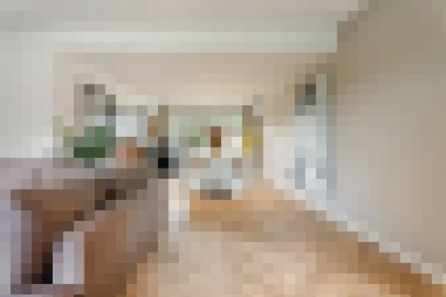 Hattemplein 6 Tilburg thumbnail 8