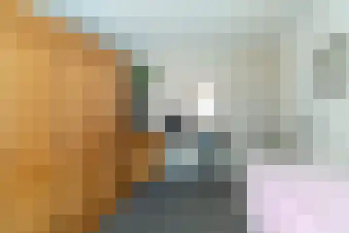 Hattemplein 7 Tilburg thumbnail 16