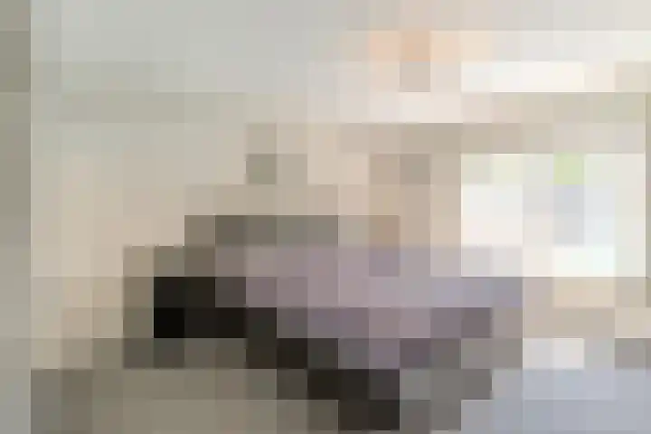 Hattemplein 7 Tilburg thumbnail 22