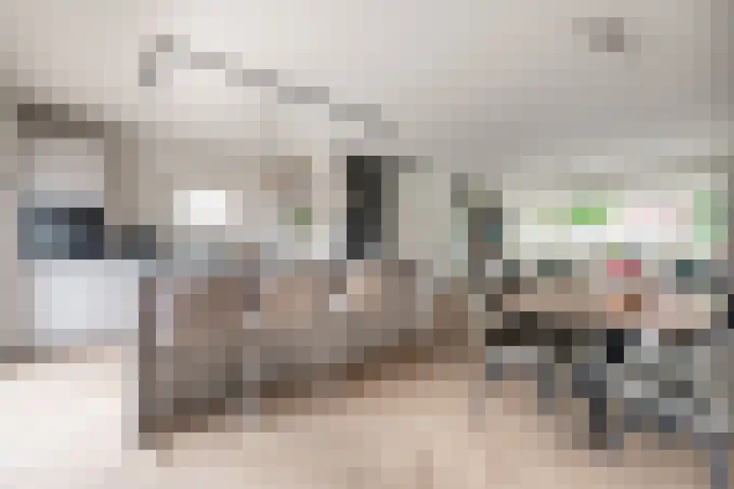 Hattemse Beek 149 Apeldoorn thumbnail 11