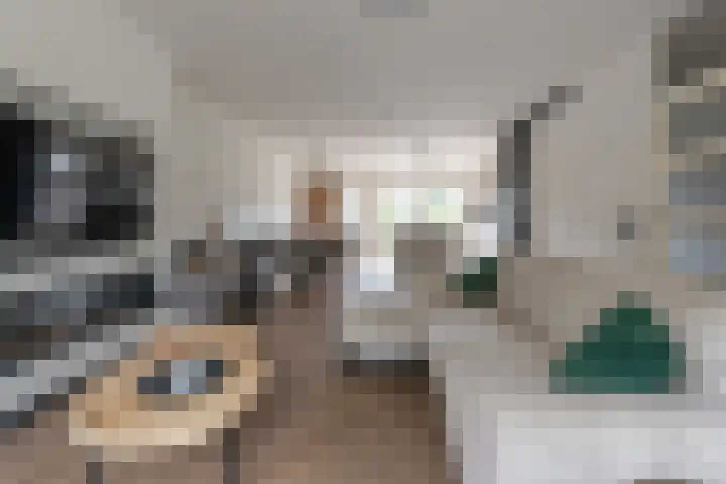 Hattemse Beek 149 Apeldoorn thumbnail 9