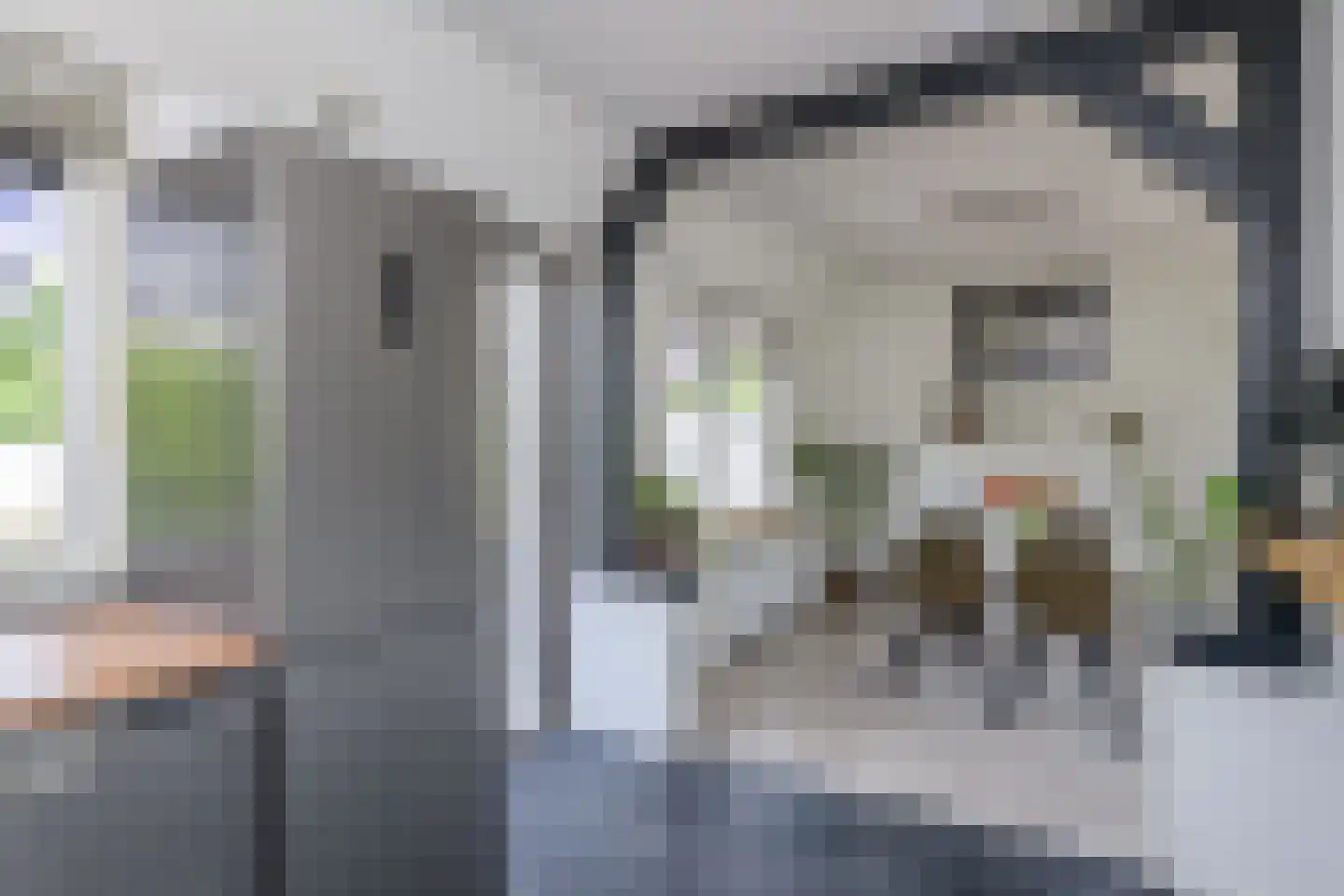 Hattemseweg 10 Apeldoorn thumbnail 14