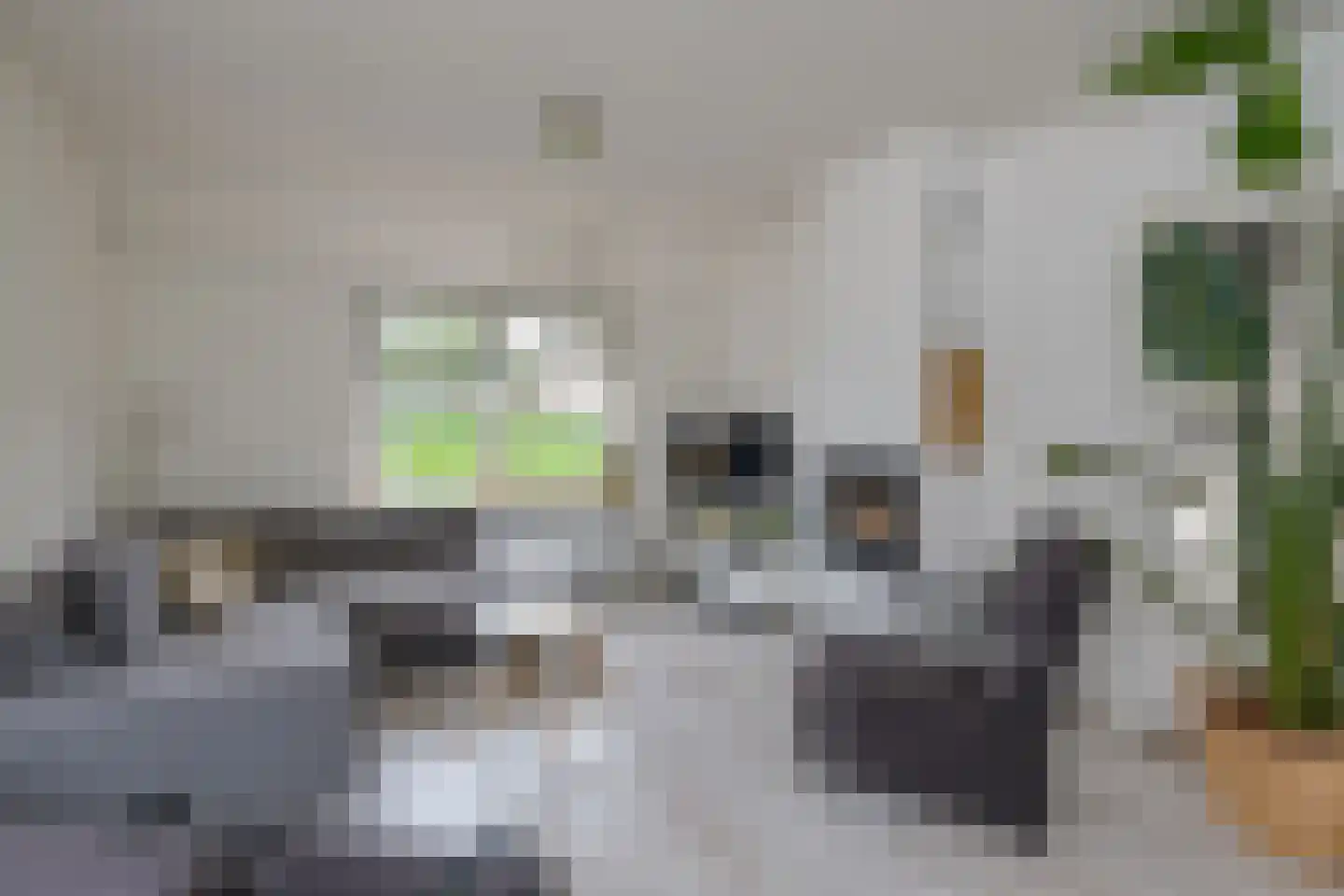 Hattemseweg 10 Apeldoorn thumbnail 17