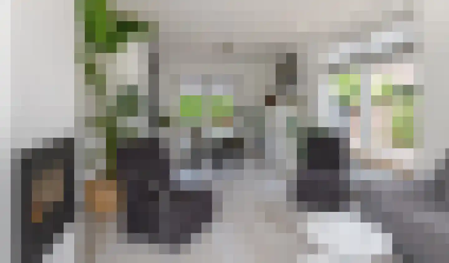Hattemseweg 10 Apeldoorn thumbnail 18