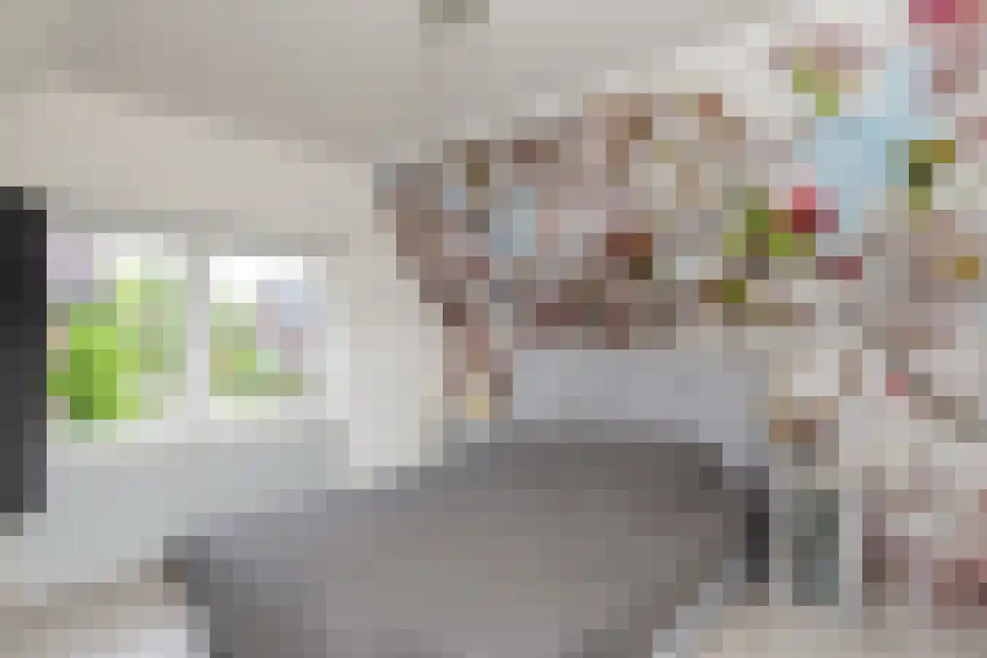 Hattemseweg 10 Apeldoorn thumbnail 19