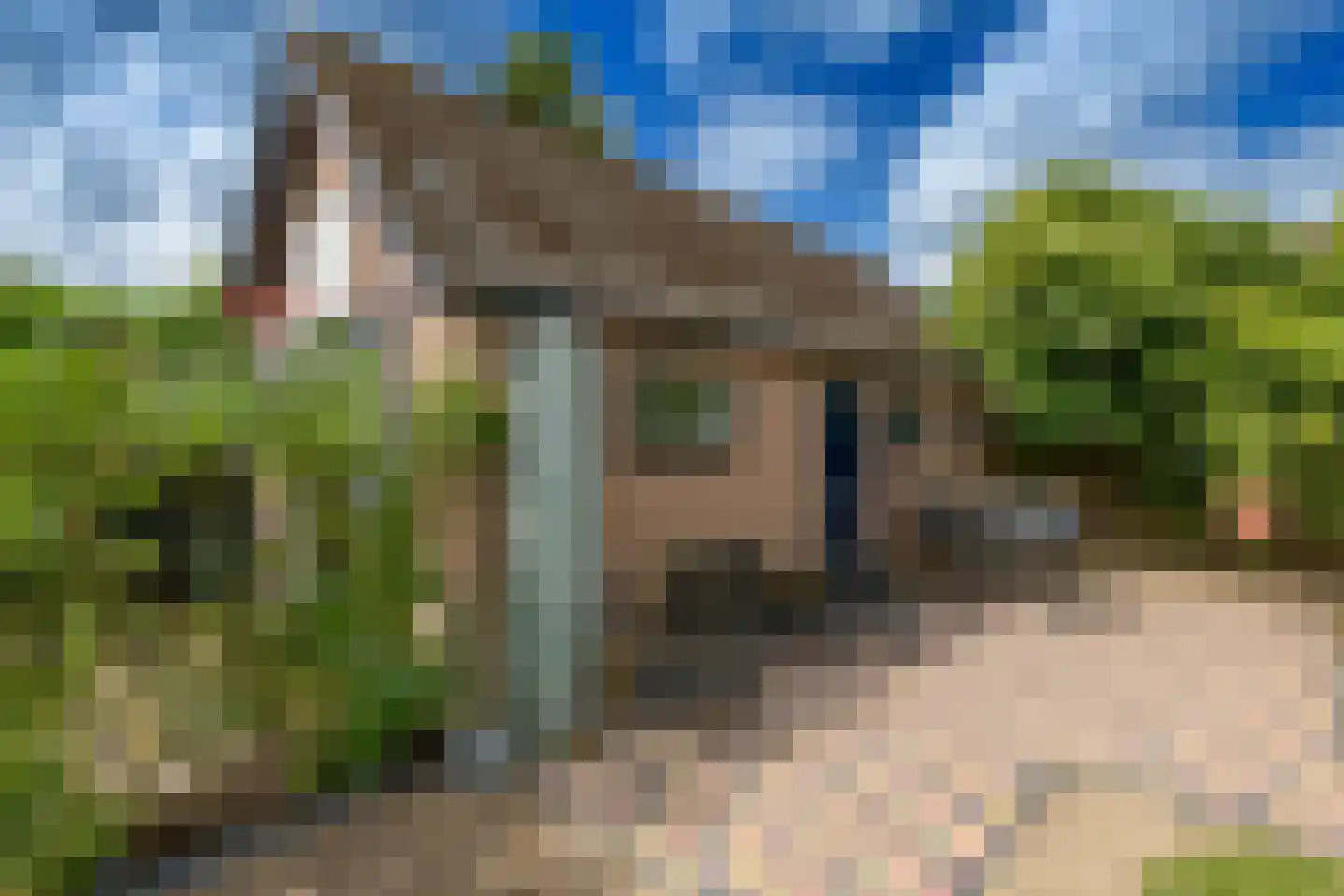 Hattemseweg 10 Apeldoorn thumbnail 30