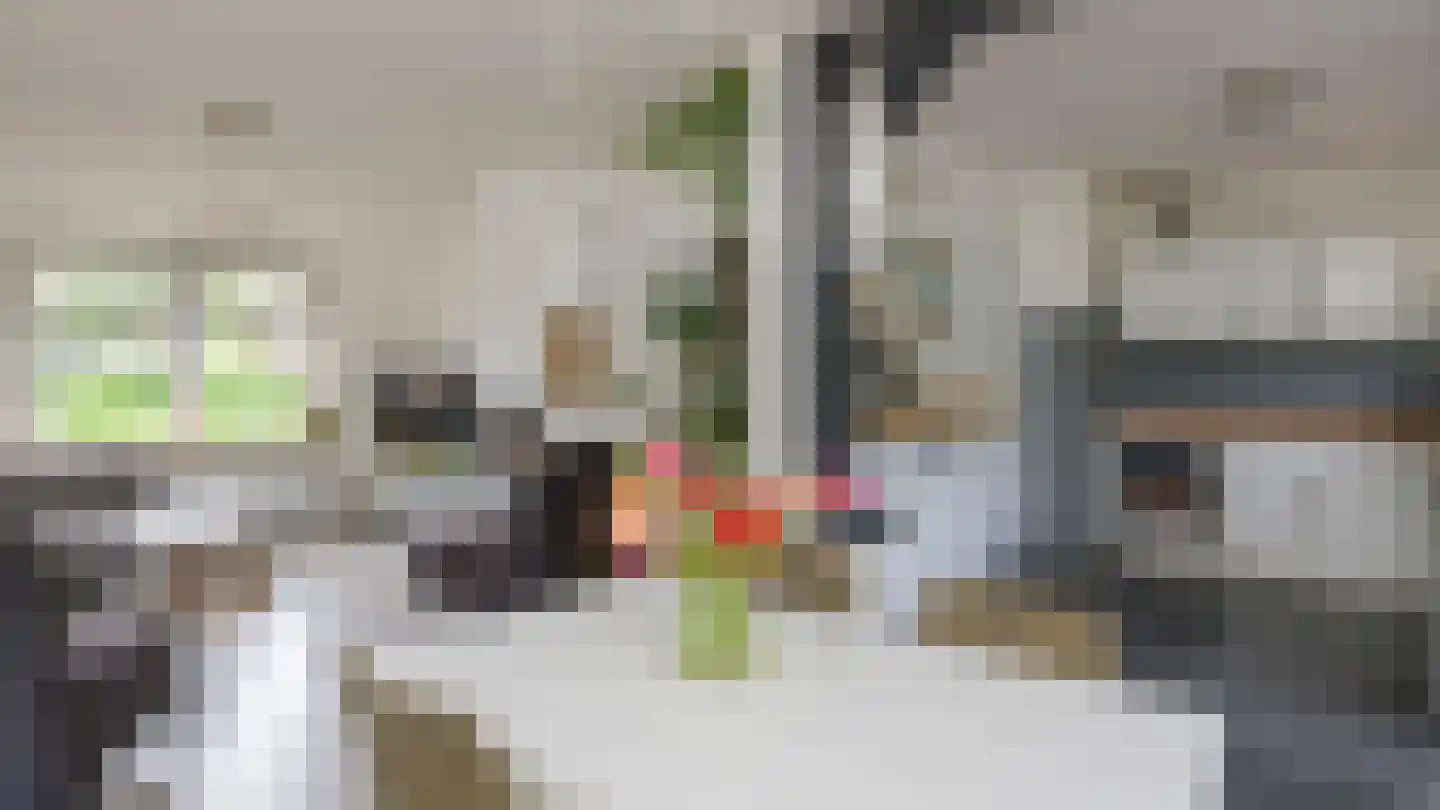 Hattemseweg 10 Apeldoorn thumbnail 4