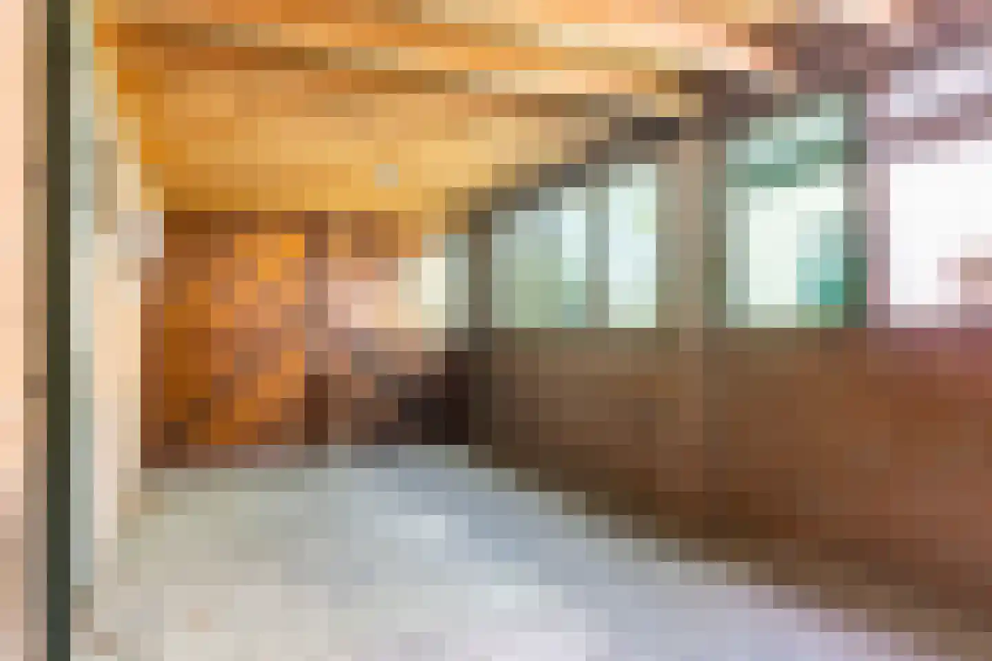 Hattemseweg 107 Apeldoorn thumbnail 21