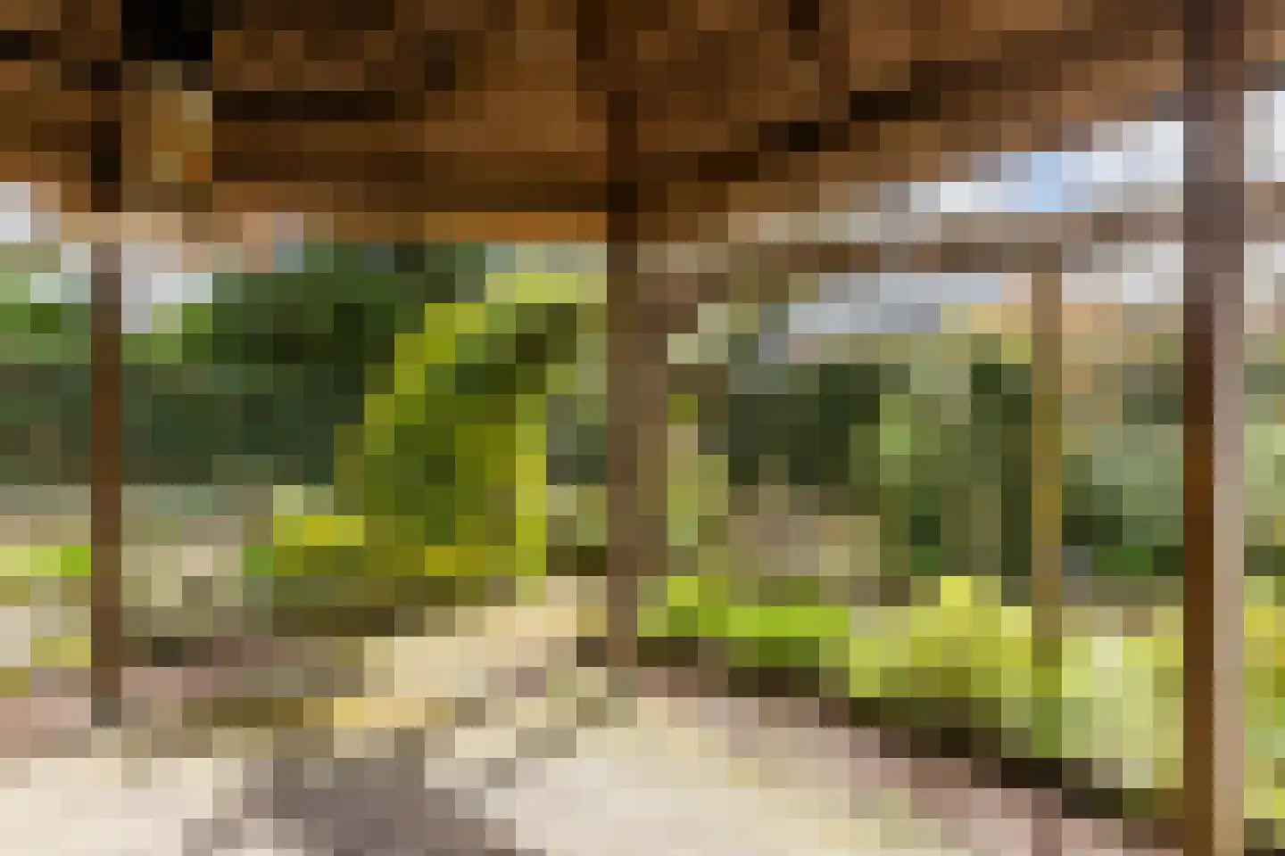 Hattemseweg 107 Apeldoorn thumbnail 30