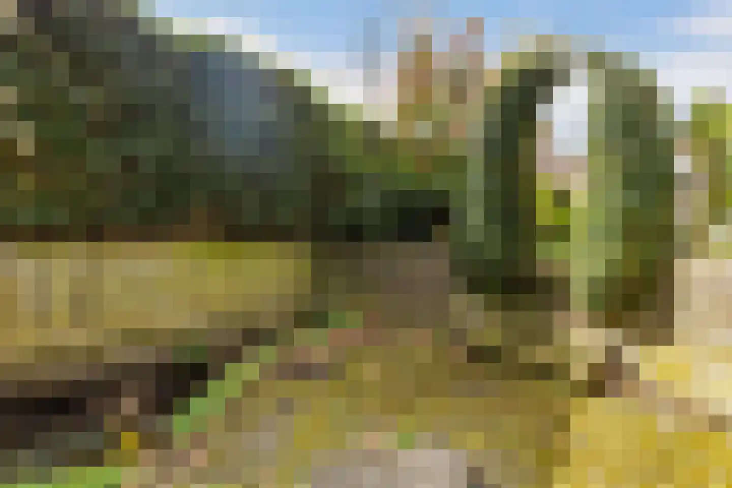 Hattemseweg 107 Apeldoorn thumbnail 32