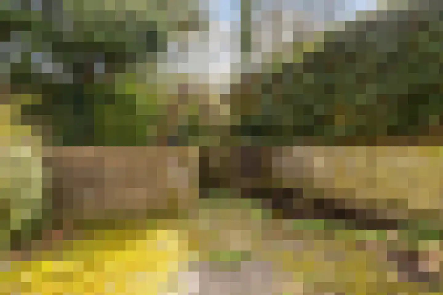 Hattemseweg 107 Apeldoorn thumbnail 33