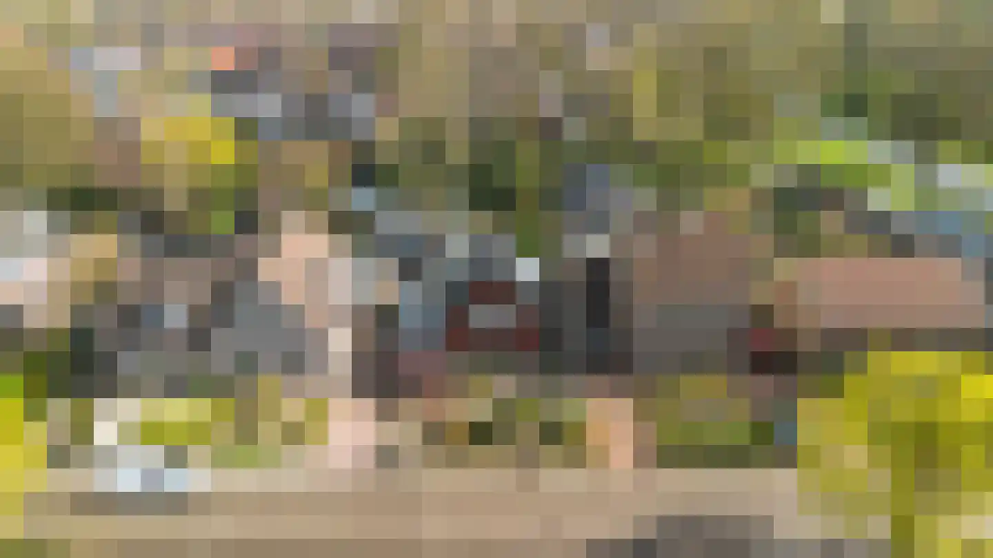 Hattemseweg 107 Apeldoorn thumbnail 38