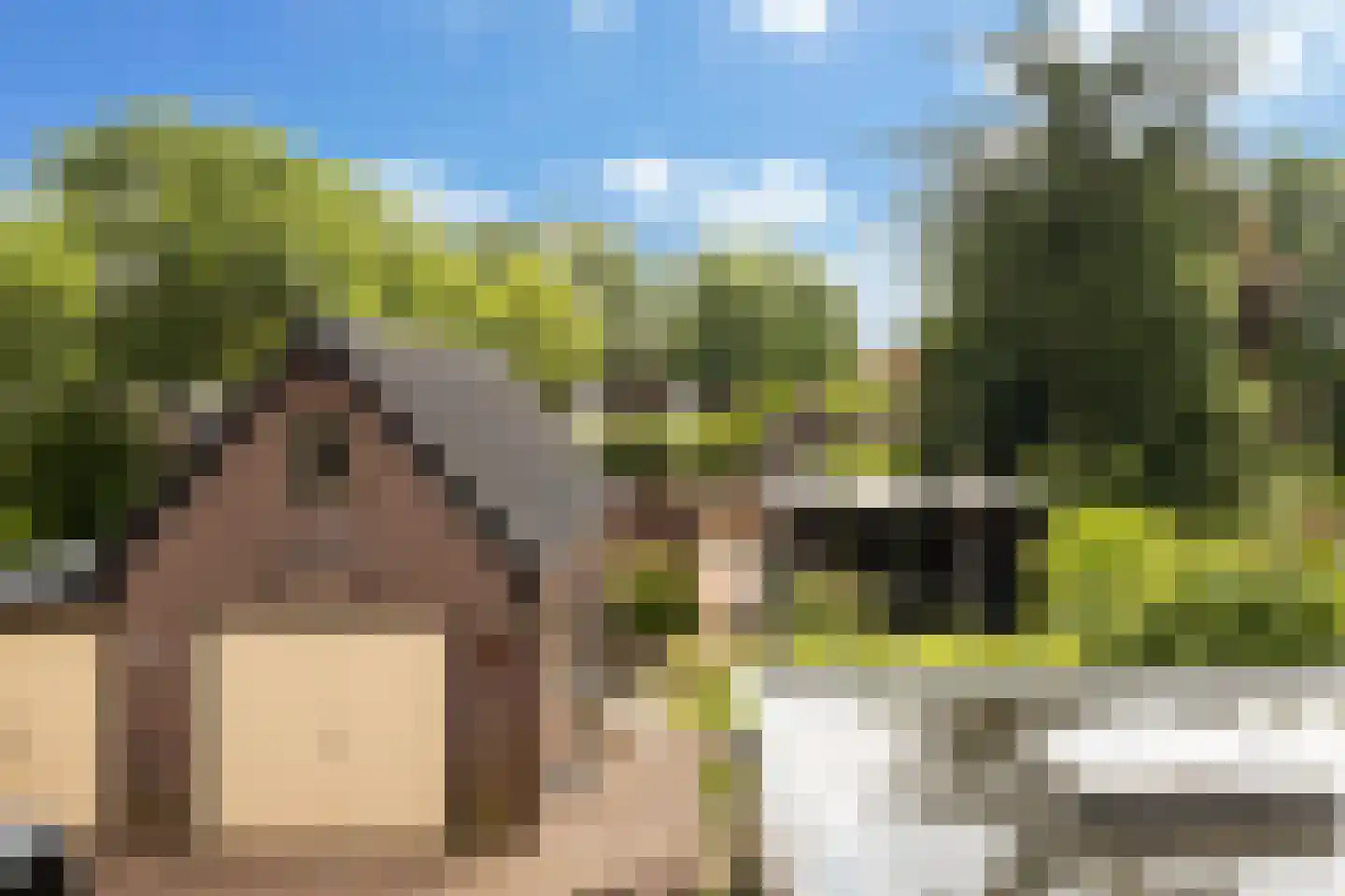 Hattemseweg 65 Apeldoorn thumbnail 16