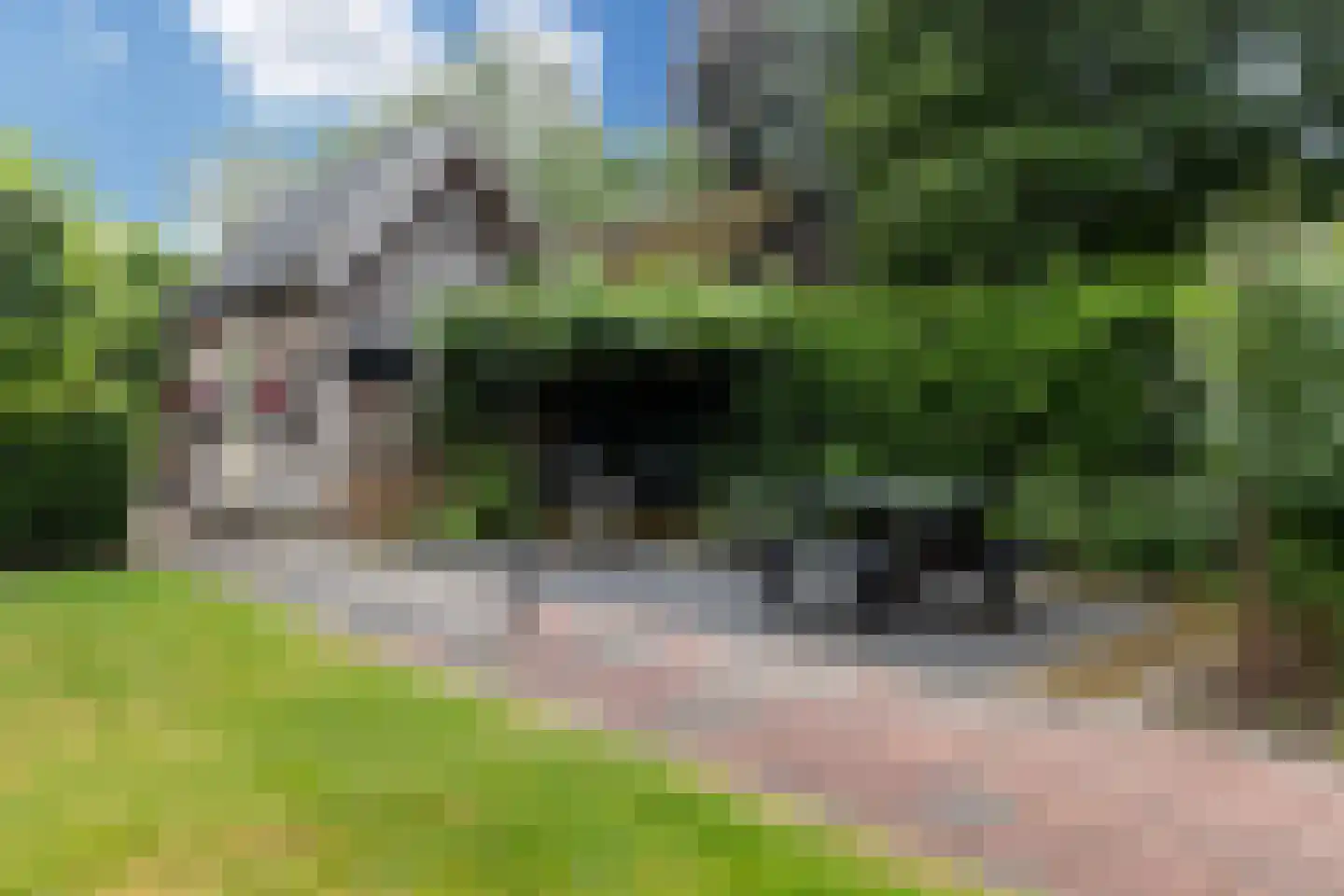 Hattemseweg 65 Apeldoorn thumbnail 25