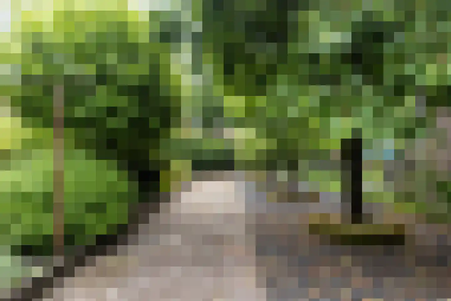 Hattemseweg 65 Apeldoorn thumbnail 26
