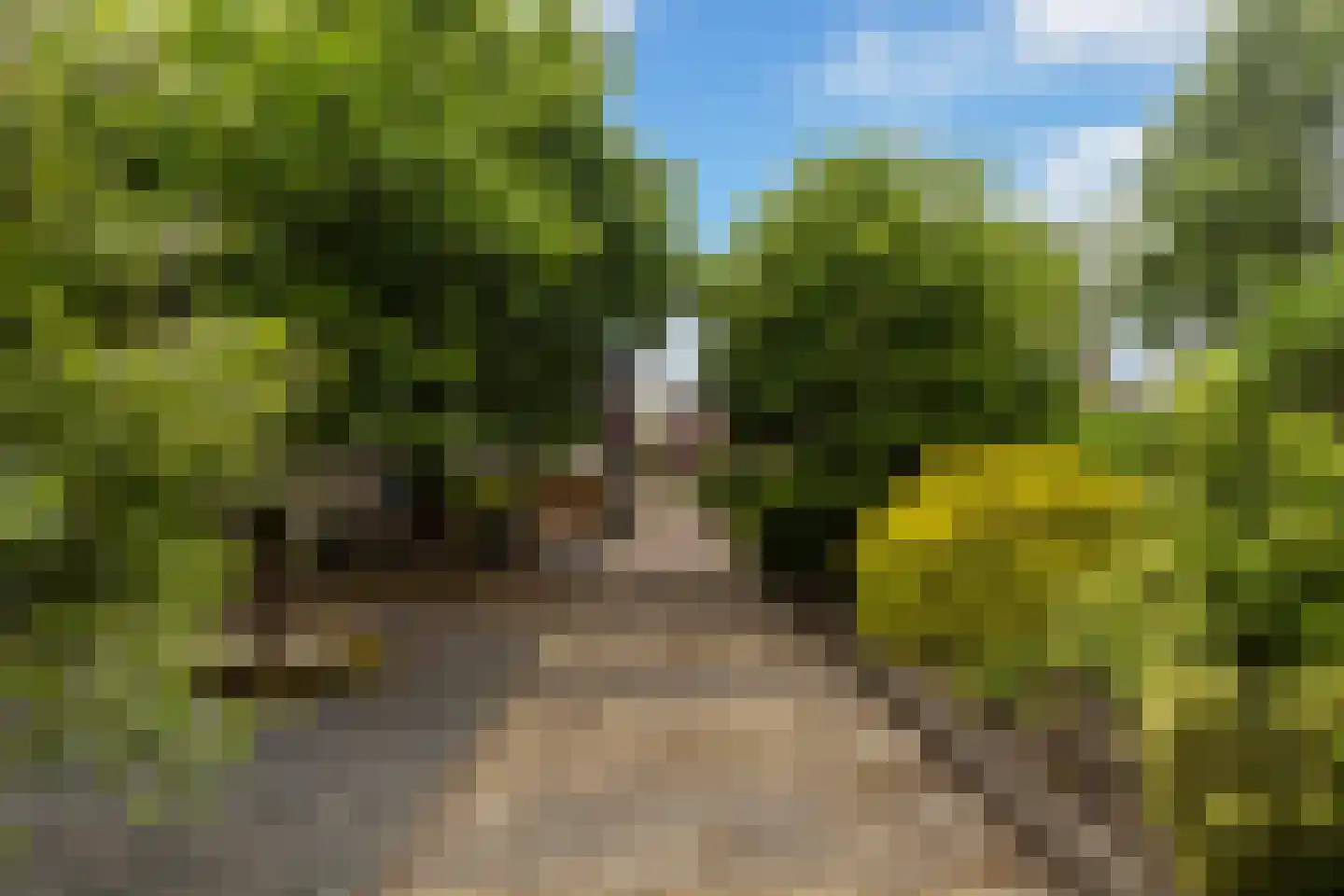 Hattemseweg 65 Apeldoorn thumbnail 27