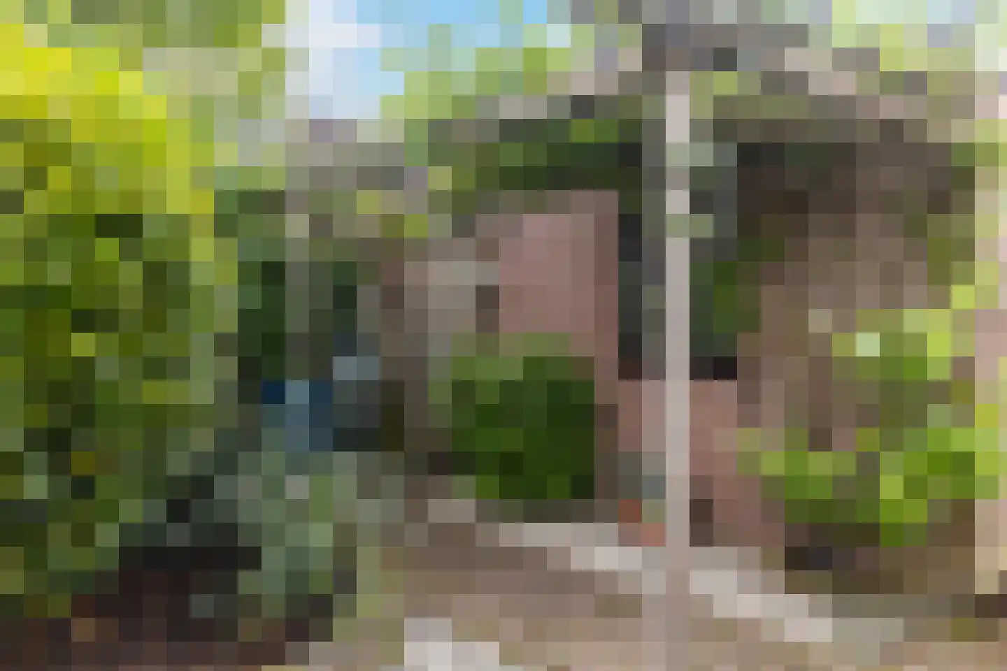 Hattemseweg 65 Apeldoorn thumbnail 31