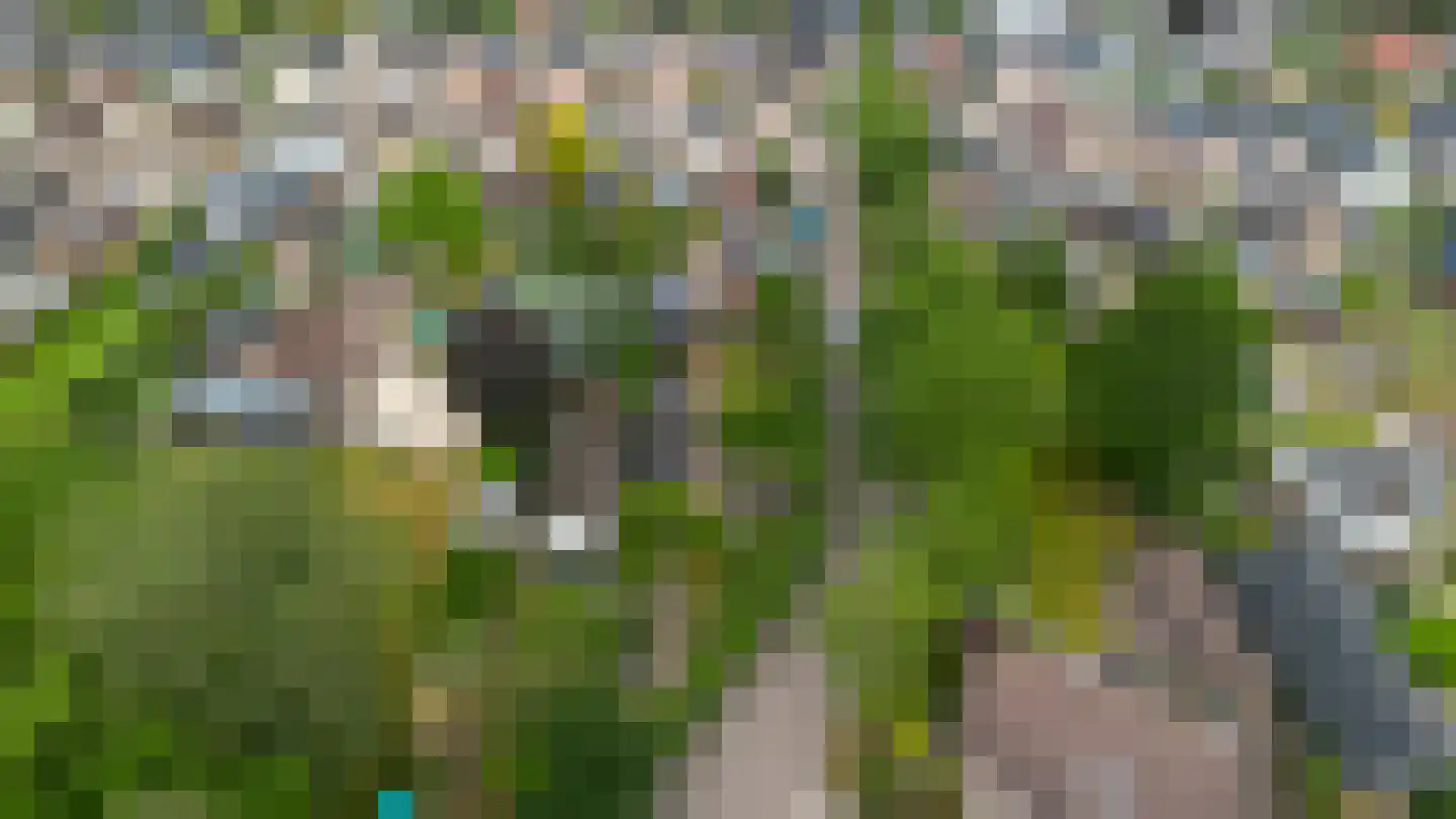 Hattemseweg 65 Apeldoorn thumbnail 41