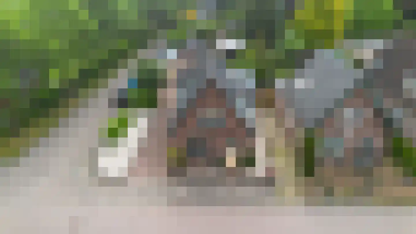 Hattemseweg 65 Apeldoorn thumbnail 42