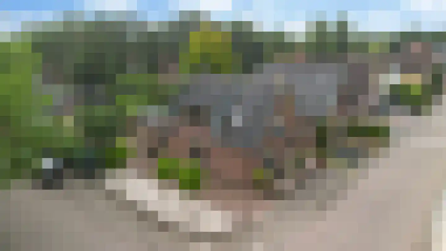 Hattemseweg 65 Apeldoorn thumbnail 43