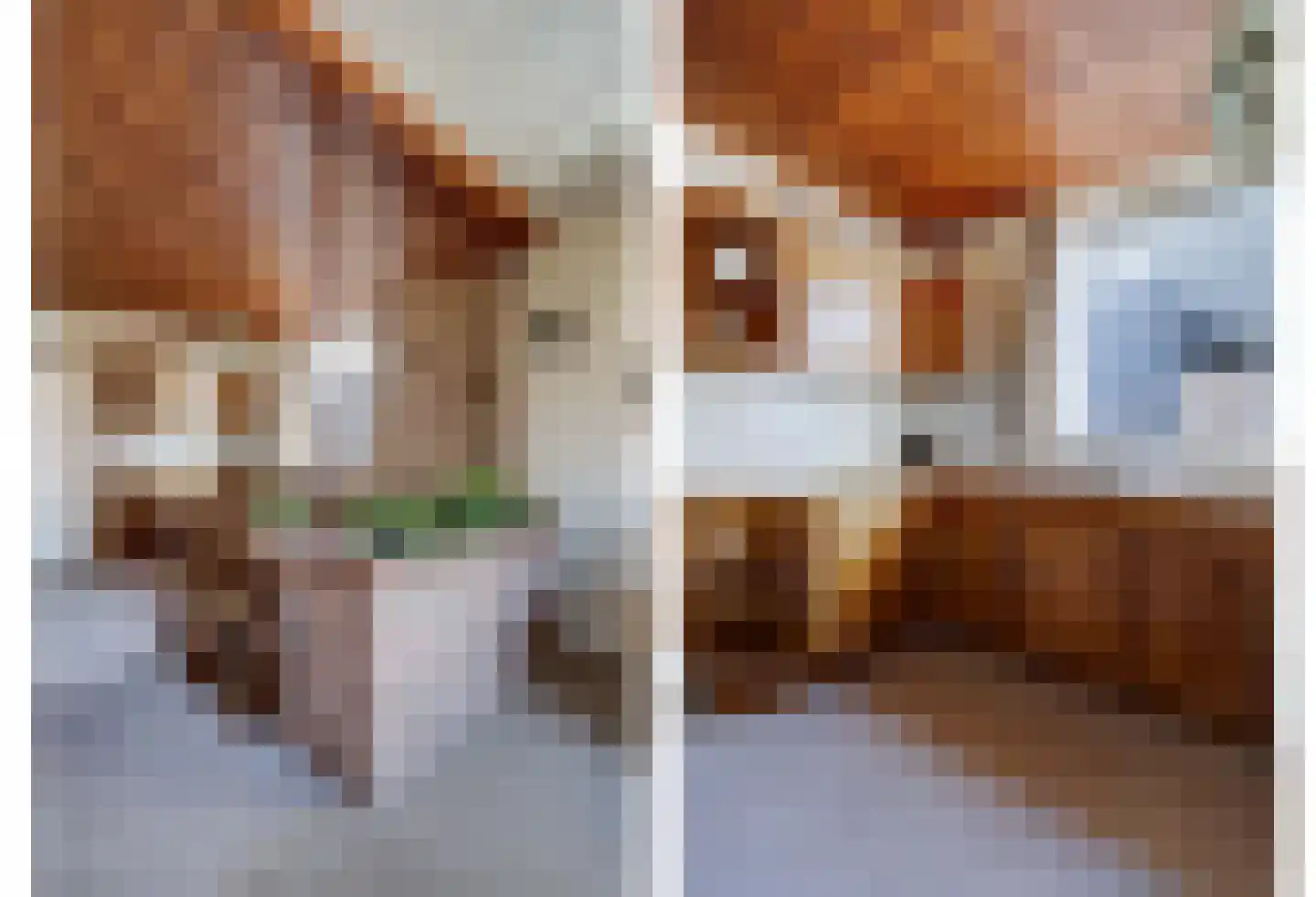 Hattemseweg 75 D Apeldoorn thumbnail 8