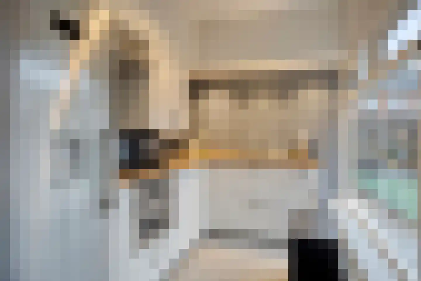 Hattingalaan 11 Hulst thumbnail 13