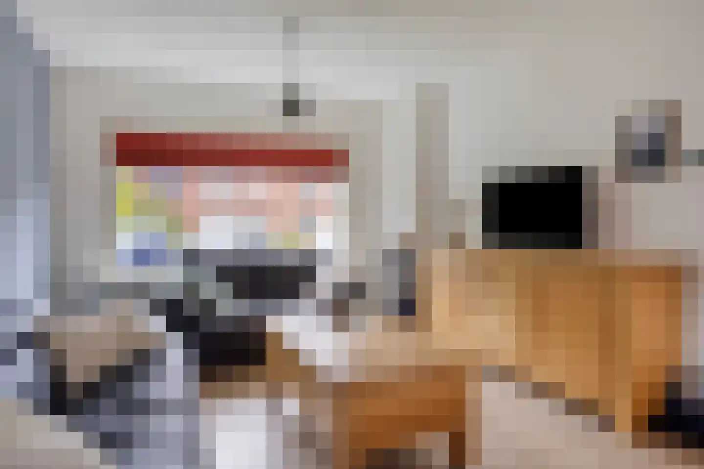 Hattingalaan 11 Hulst thumbnail 7