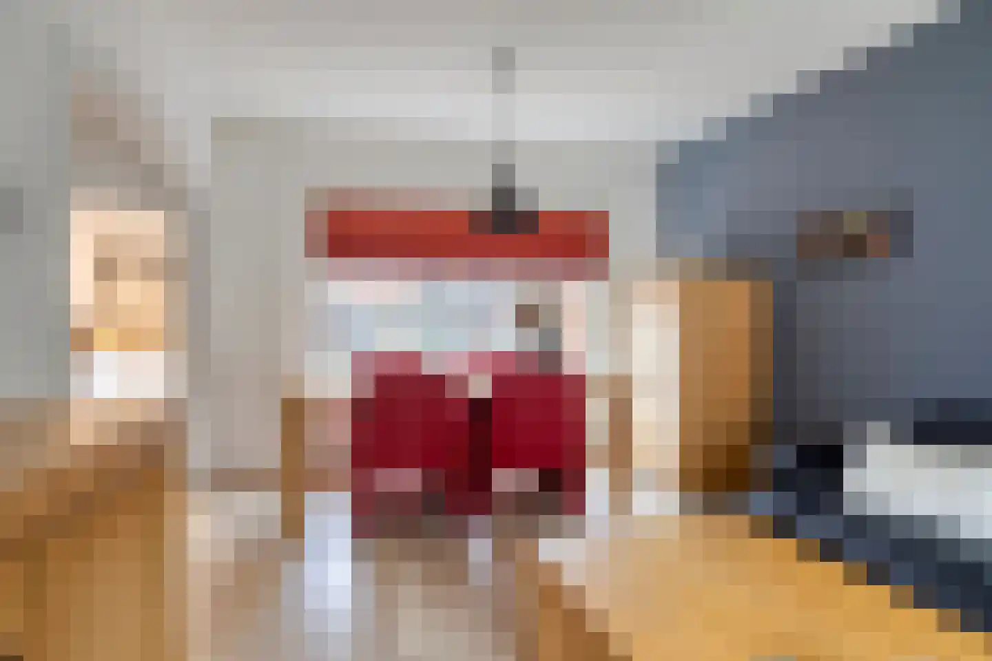 Hattingalaan 11 Hulst thumbnail 8