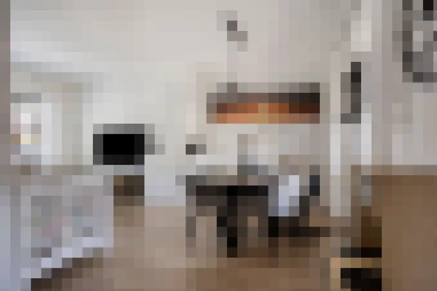 Hattingalaan 9 Hulst thumbnail 11