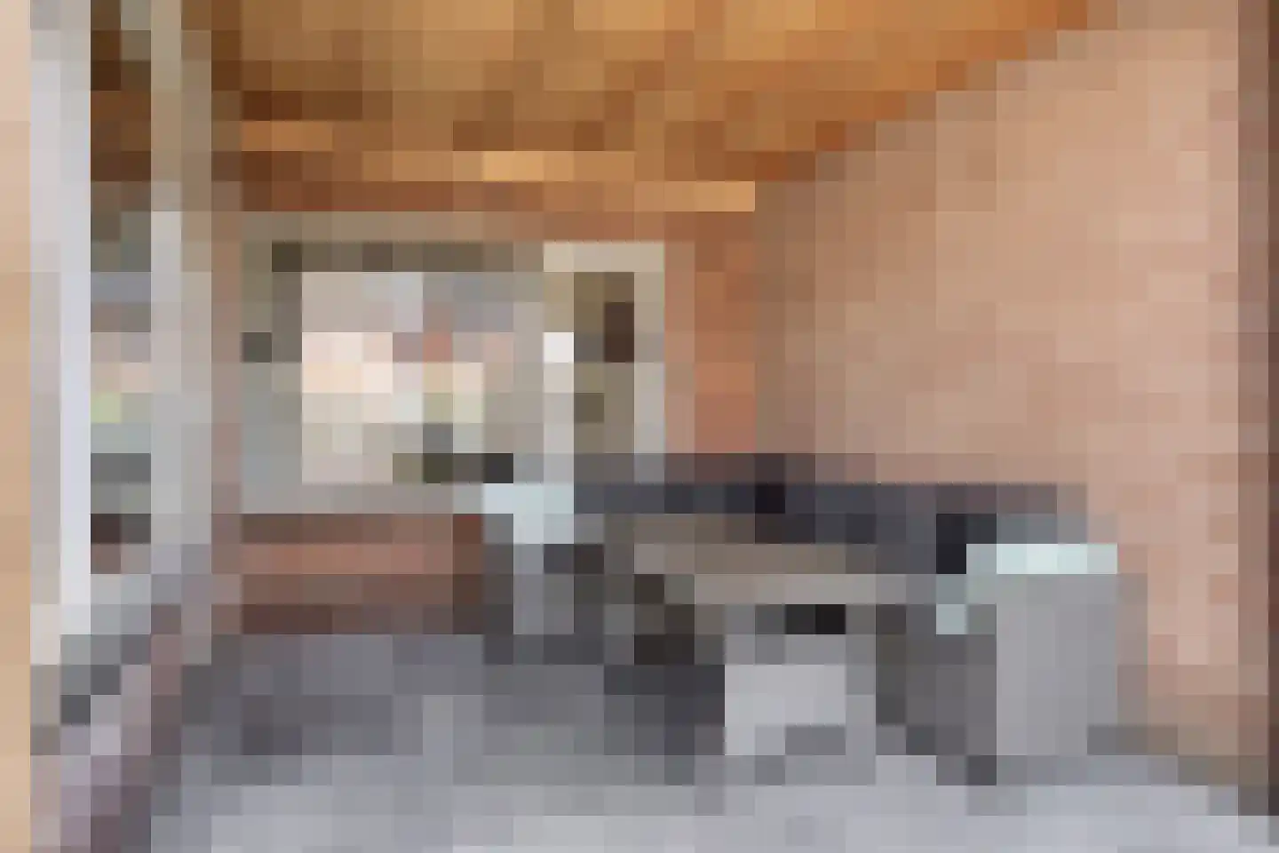 Hattingalaan 9 Hulst thumbnail 26