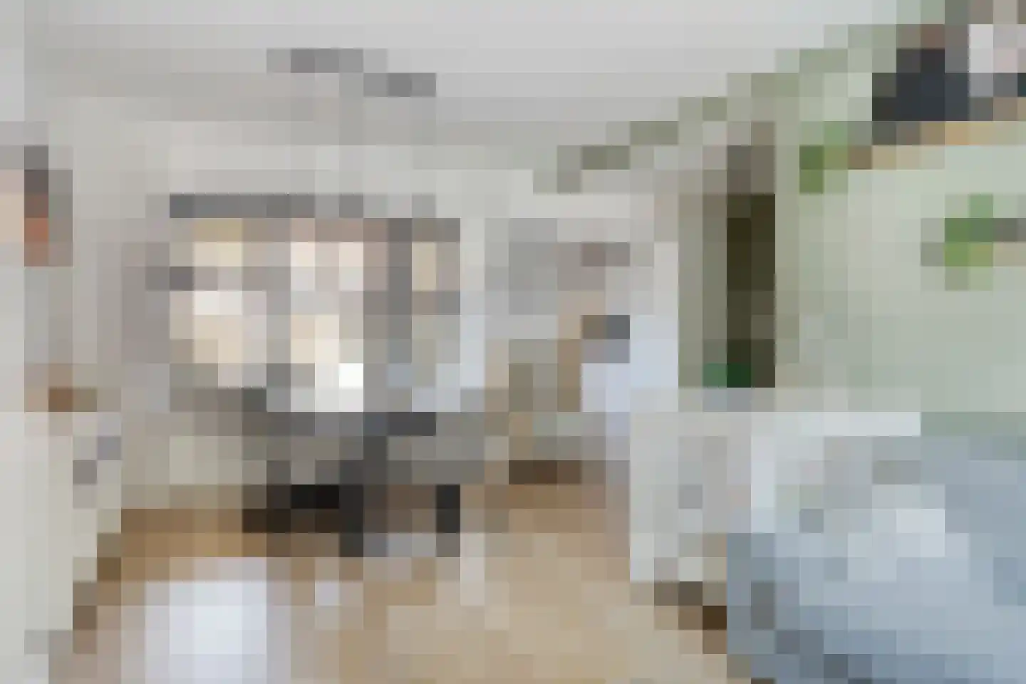 Hattingalaan 9 Hulst thumbnail 9