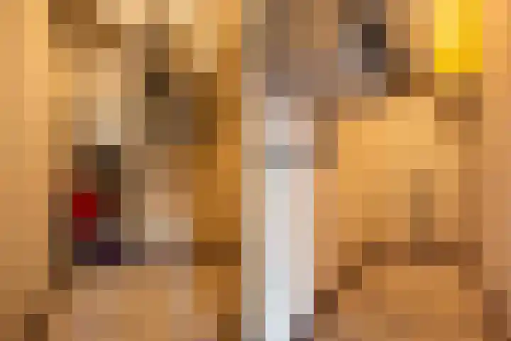 Hattinkerf 22 Loenen thumbnail 20