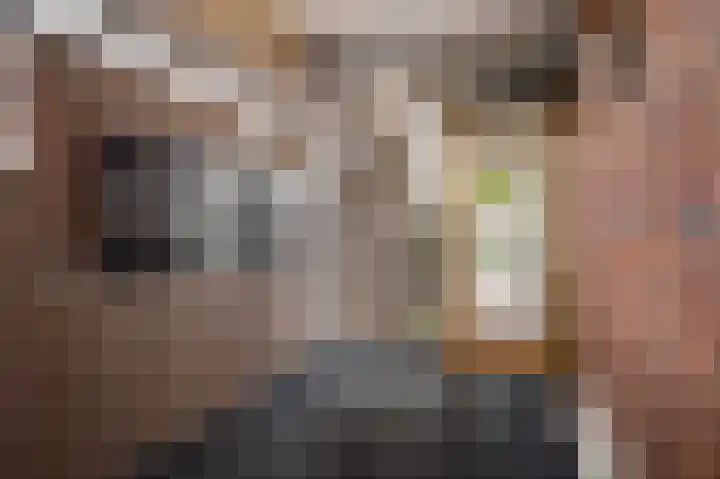 Hattinkerf 22 Loenen thumbnail 26