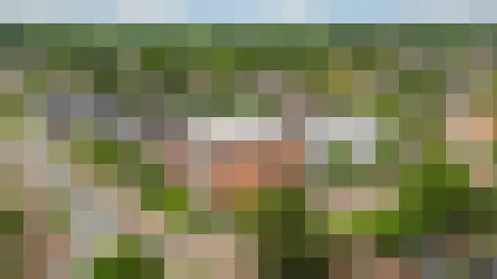 Hattinkerf 22 Loenen thumbnail 38