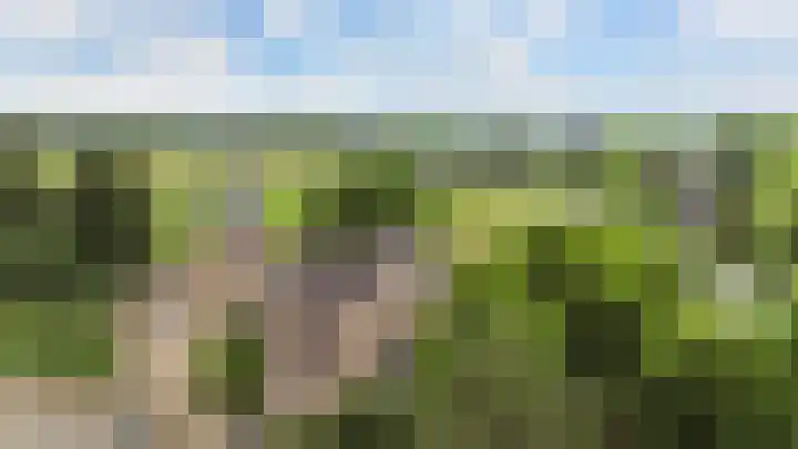Hattinkerf 22 Loenen thumbnail 41