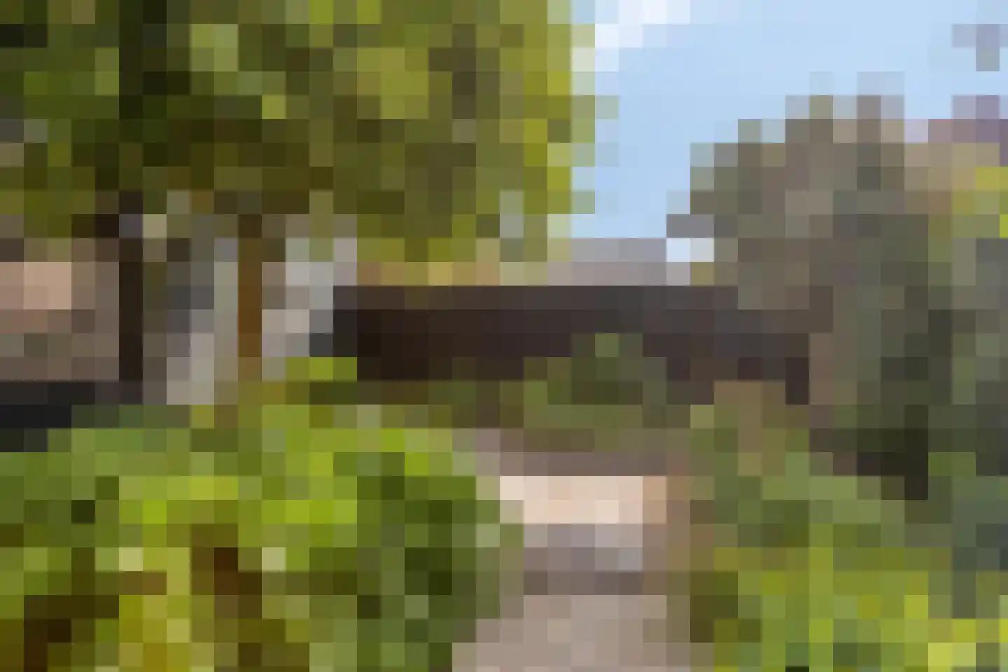 Haulerweg 45 Wolvega thumbnail 25