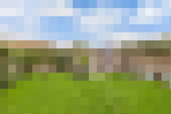 Haulerweg 52 Wolvega thumbnail 41