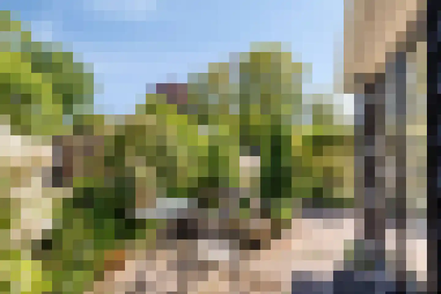 Haulerwijksterweg 4 Een thumbnail 18