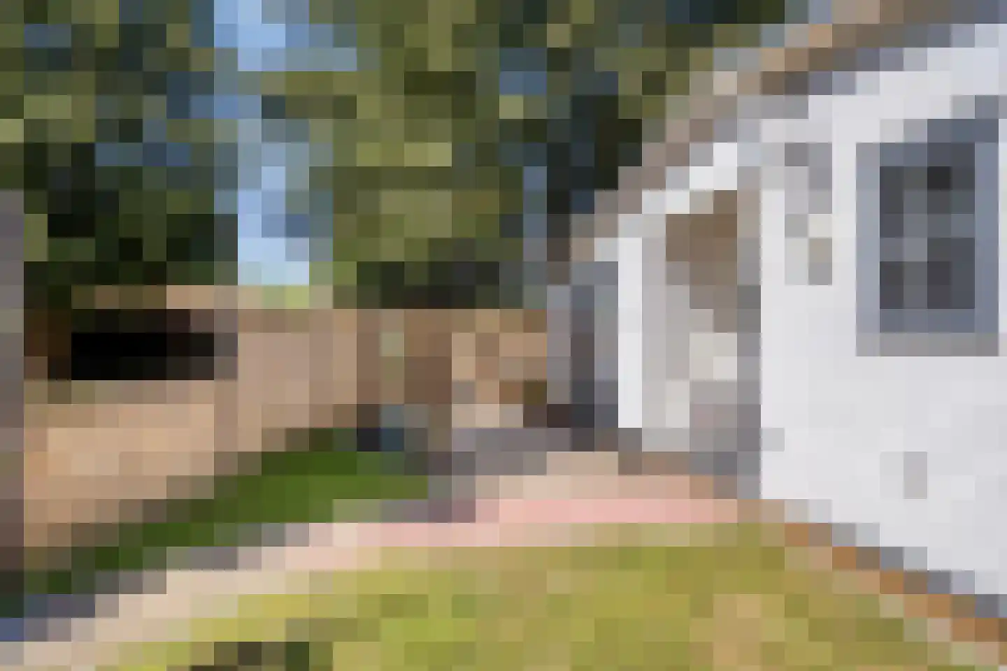 Haulerwijksterweg 4 Een thumbnail 33
