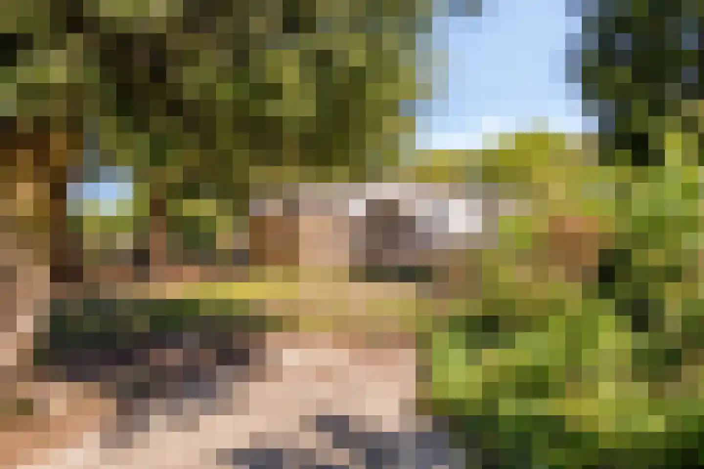 Haulerwijksterweg 4 Een thumbnail 34