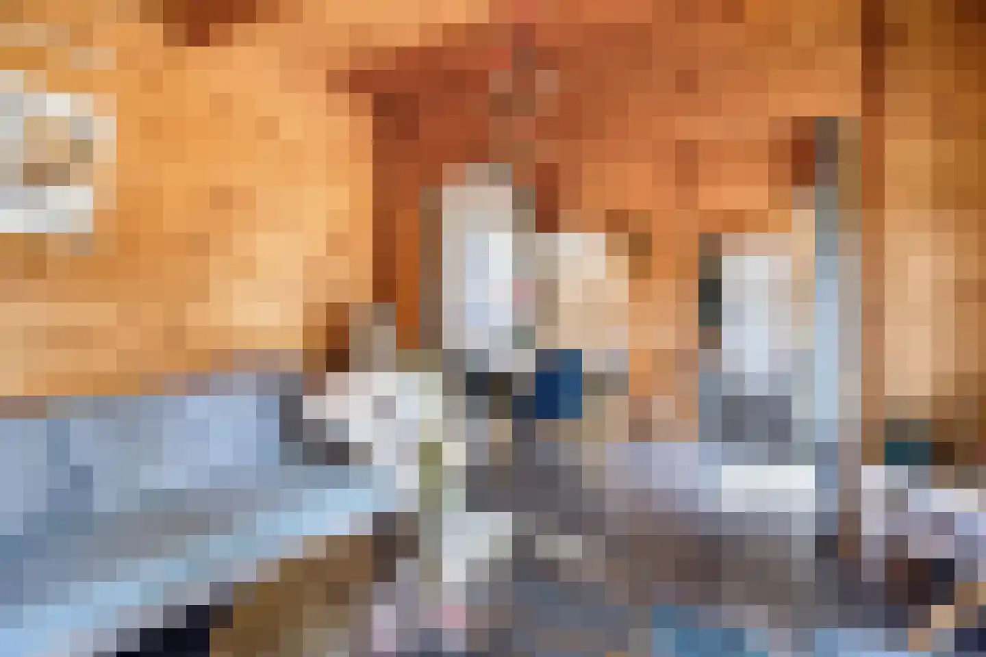 Haulerwijksterweg 4 Een thumbnail 36