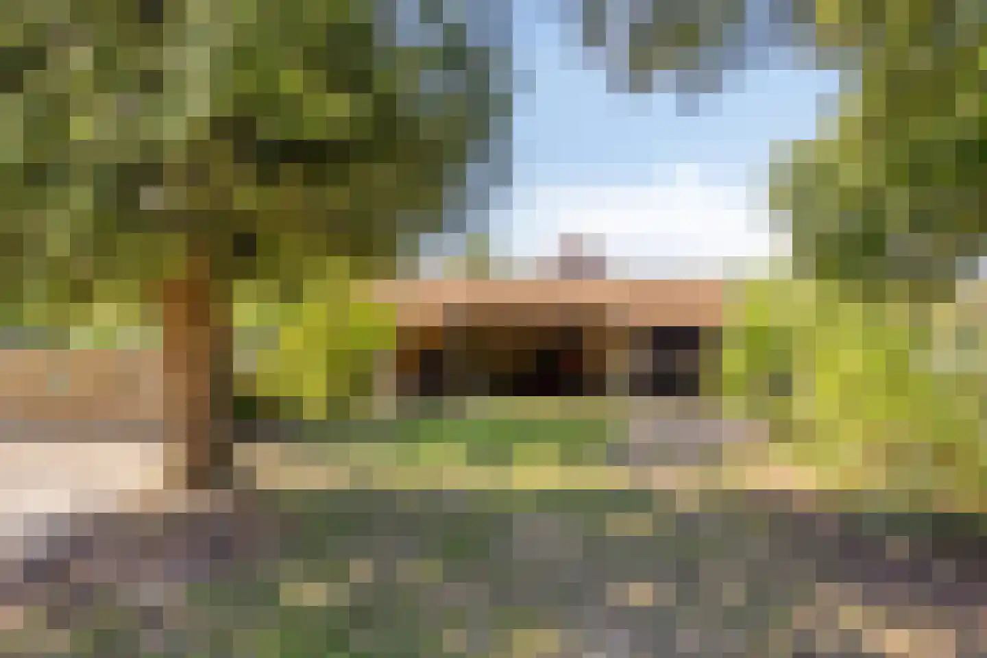 Haulerwijksterweg 4 Een thumbnail 52