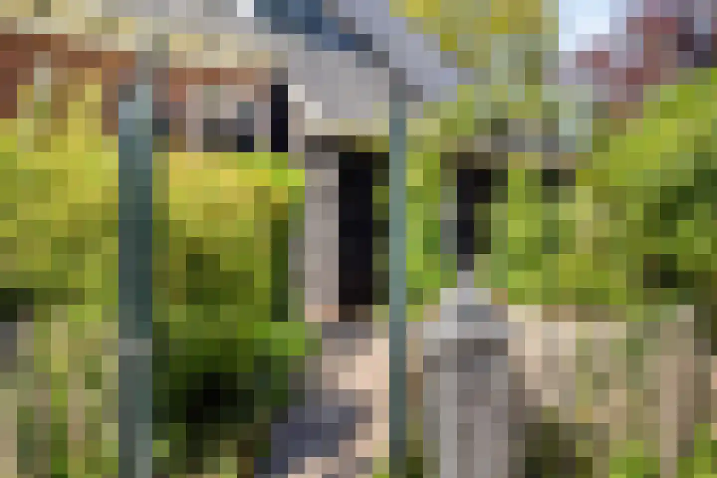 Haulerwijksterweg 4 Een thumbnail 6