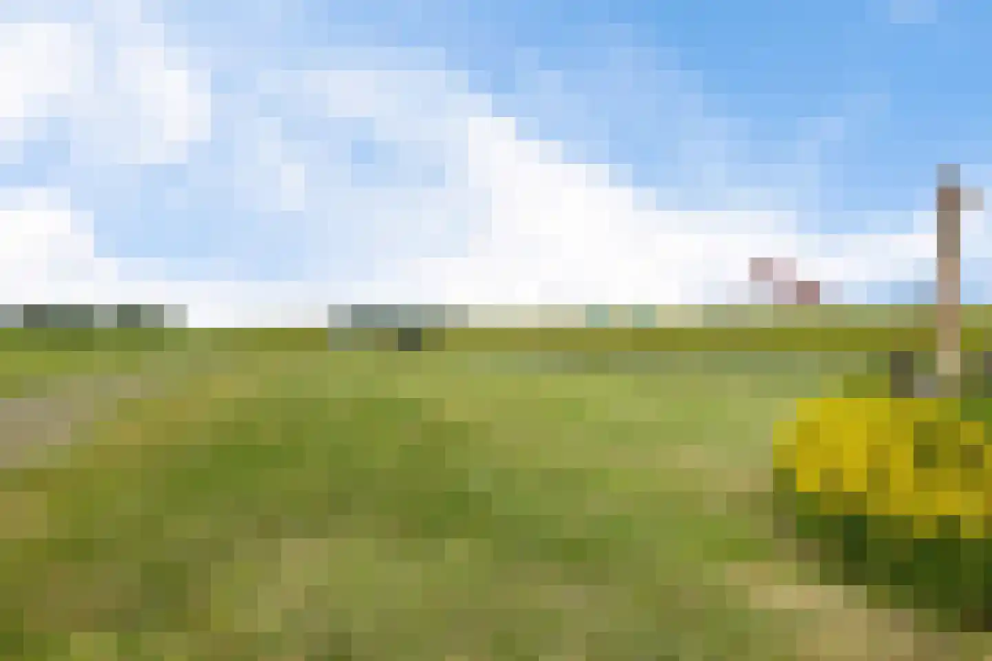 Haulewei 17 Wijnaldum thumbnail 27