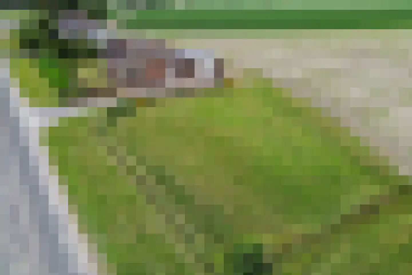 Haulewei 17 Wijnaldum thumbnail 33