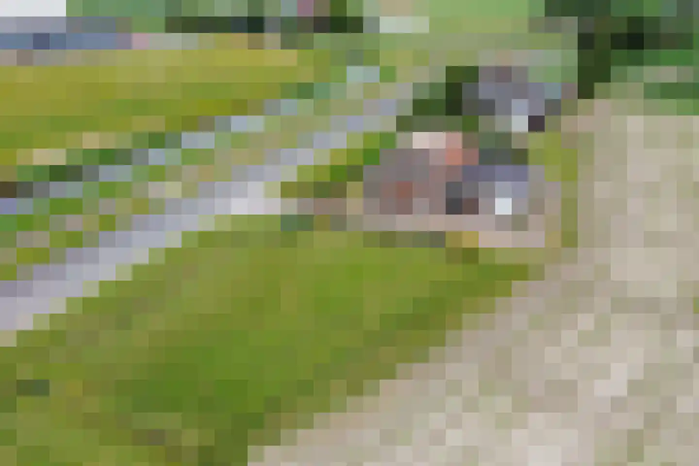 Haulewei 17 Wijnaldum thumbnail 34