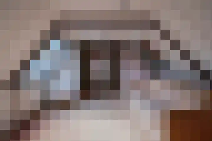 Haulewei 24 Wijnaldum thumbnail 31