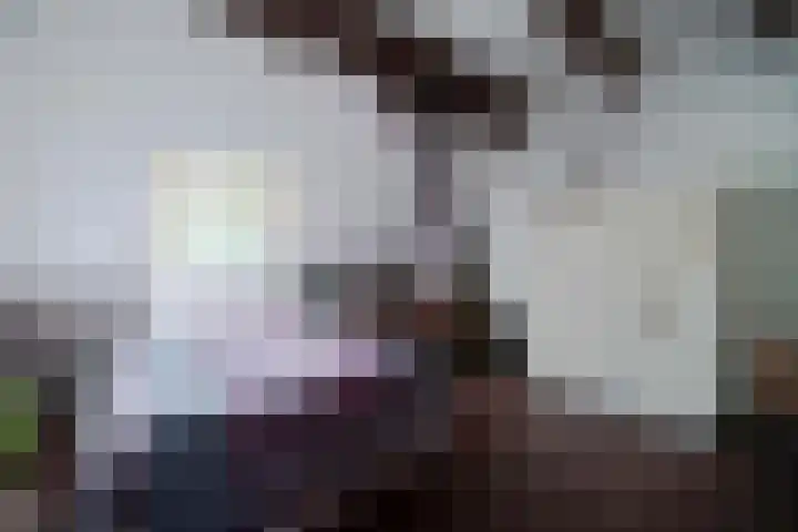 Haulewei 24 Wijnaldum thumbnail 38