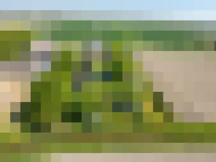 Haulewei 24 Wijnaldum thumbnail 4